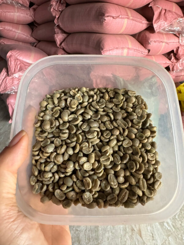 HOT SALE High Quality ARABICA Raw Green Coffee Beans Origin Vietnam with Caffeine at Competitive Price - Image 2
