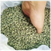 Wholesale Cheap arabica coffee beans premium coffee supplies arabica coffee beans - Image 2