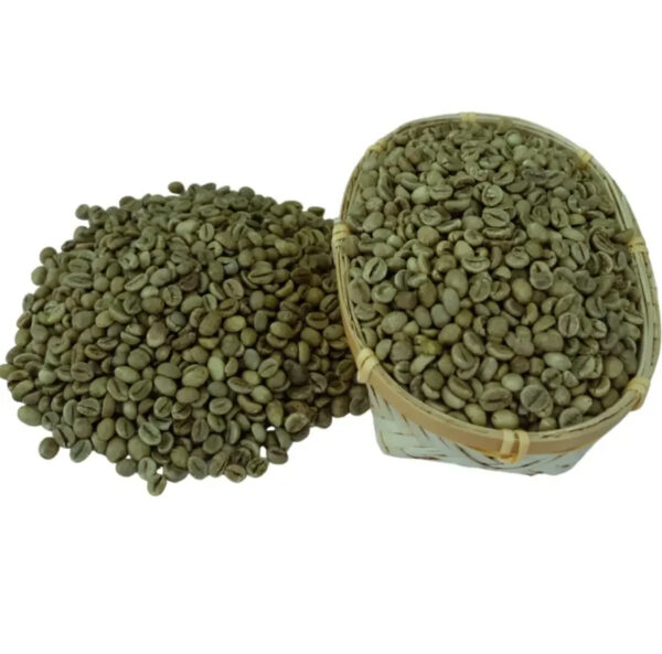 Robusta & Arabica Coffee beans High quality 100% for sale - Image 3