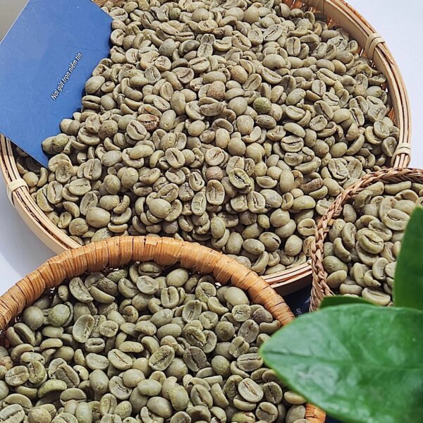 High-Quality Green Coffee Beans Robusta and Arabica Beans Screen 13-18 Available at Competitive Prices for Wholesale Sales - Image 6