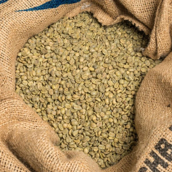 Superior Arabica Coffee Beans Washed Process Green Coffee Beans for Sale Green Coffee Bean - Image 3