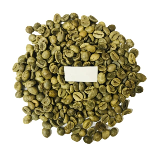 Beans Coffee Beans Green Coffee Beans Robusta Grade 1 Screen 16 Wholesale Price Best Quality Vietnam Origin Coffee - Image 4