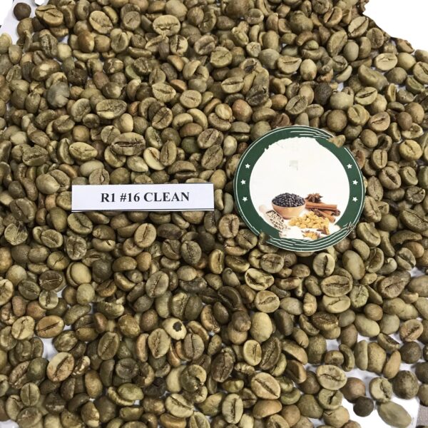 Coffee products green coffee beans robusta common beans robusta green coffee Screen 14/16/18 - Image 4