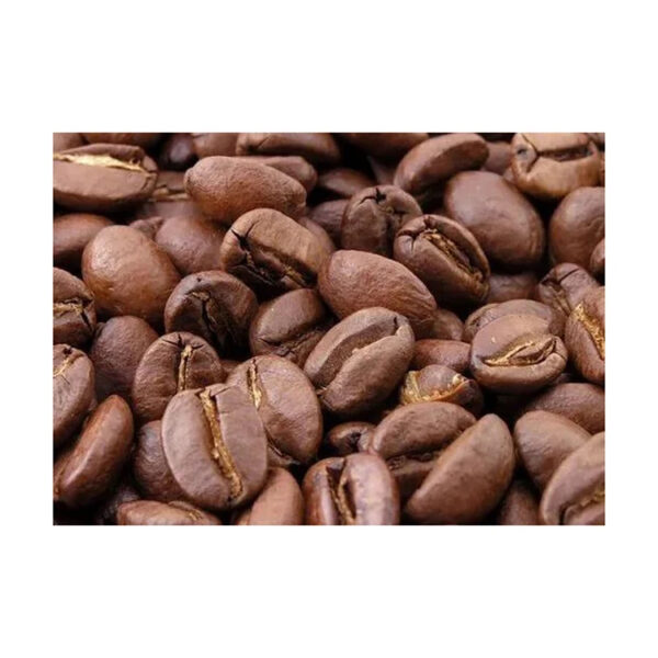 Arabic Green Coffee Beans Top Quality Arabic Coffee good price - Image 3