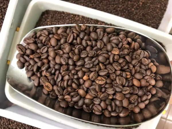 Wholesale Robusta Coffee Bean Buy Cheap Robusta Coffee Bulk Roasted Coffee Beans For Sale - Image 3