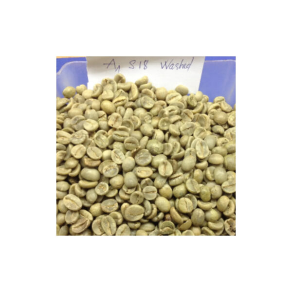 Superior Arabica Coffee Beans Washed Process Green Coffee Beans for Sale - Image 4