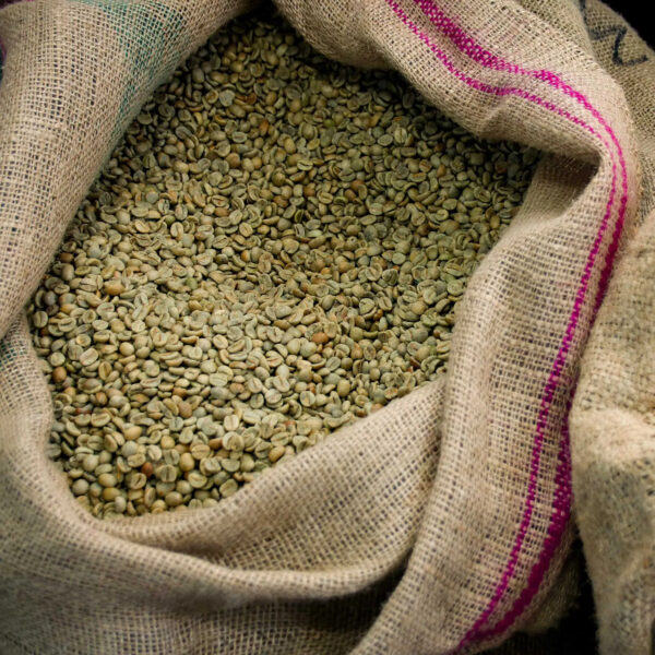 Superior Arabica Coffee Beans Washed Process Green Coffee Beans for Sale Green Coffee Bean - Image 4