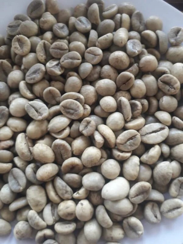 Vietnam Best Coffee for Export: 100% Robusta Green Coffee Beans in Bulk Quantities with Exceptional Health Benefits - Image 4