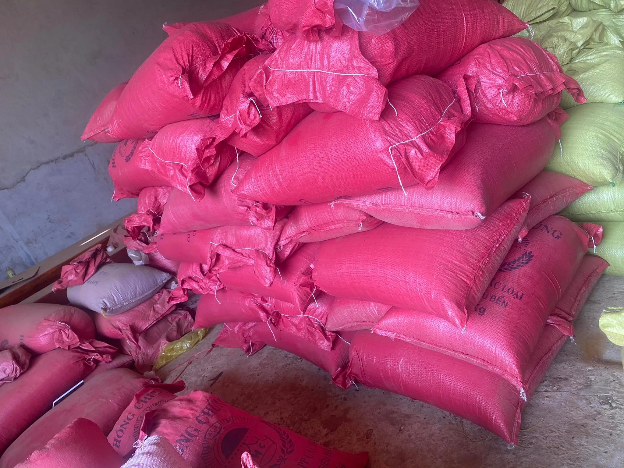 Best Price Robusta Coffee Bean Organic Fresh Raw Roasted High quality Arabica Traditional Coffee - Image 4