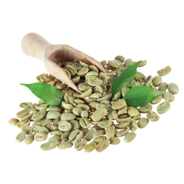 Coffee products green coffee beans robusta common beans robusta green coffee Screen 14/16/18 - Image 3