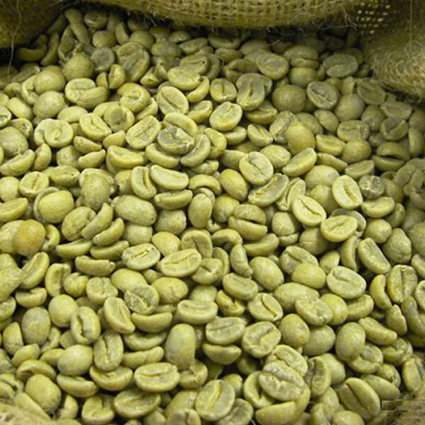 Best Price Robusta Coffee Green Beans Vietnam Coffee Full washed SCR18 Grade 1 - Image 4
