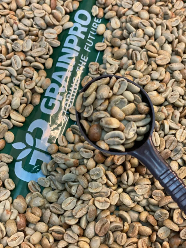 Best Selling New Crop Green Bean Coffee Robusta/Arabica Whole Beans High Quality Roasted Coffee at Good Price Packaged in Bulk - Image 4