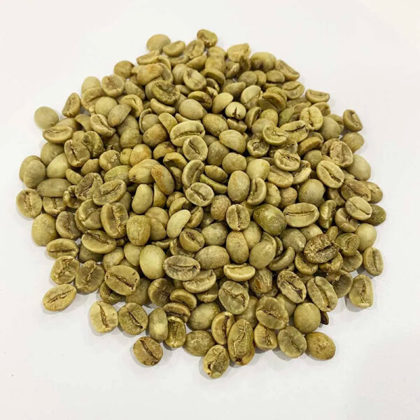 Espresso Coffee Vietnamese High Quality Robusta Coffee Beans For Sale Ground Coffee Brands - Image 4