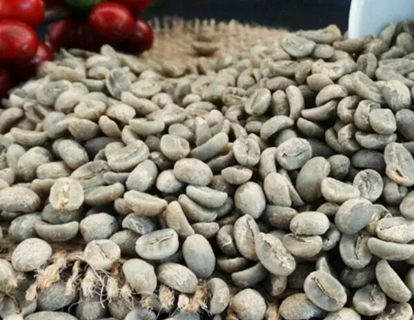 Natural dried raw Cafe vert graine Bio Arabica Ethiopie coffee for sale - Image 4