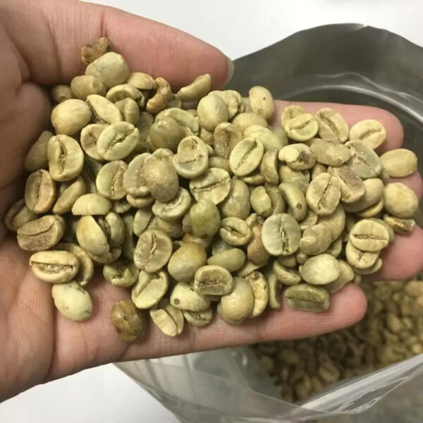 High-Quality Green Coffee Beans Robusta and Arabica Beans Screen 13-18 Available at Competitive Prices for Wholesale Sales - Image 3