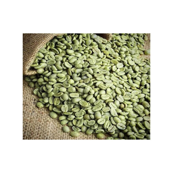 Superior Arabica Coffee Beans Washed Process Green Coffee Beans for Sale - Image 5