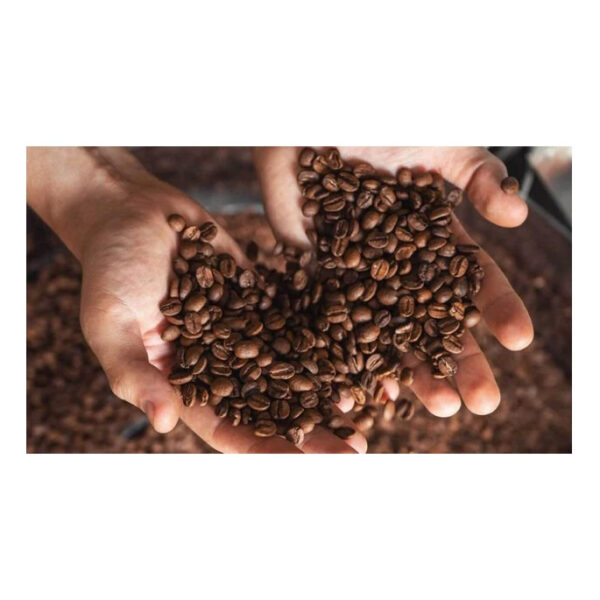 Wholesale Best Quality Arabica Coffee Bean For Sale In Cheap Price - Image 5