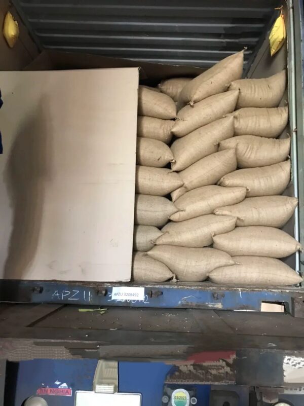 Beans Coffee Beans Green Coffee Beans Robusta Grade 1 Screen 16 Wholesale Price Best Quality Vietnam Origin Coffee - Image 3