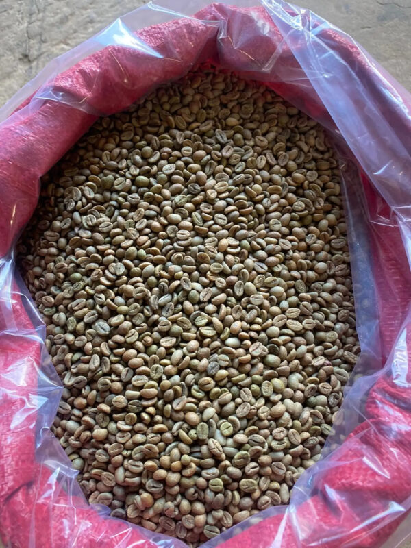 Vietnam Best Coffee for Export: 100% Robusta Green Coffee Beans in Bulk Quantities with Exceptional Health Benefits - Image 6