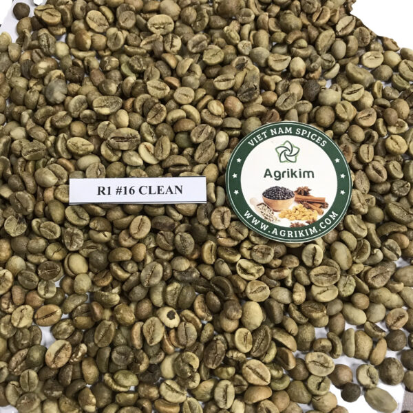 Coffee products green coffee beans robusta common beans robusta green coffee Screen 14/16/18 - Image 5
