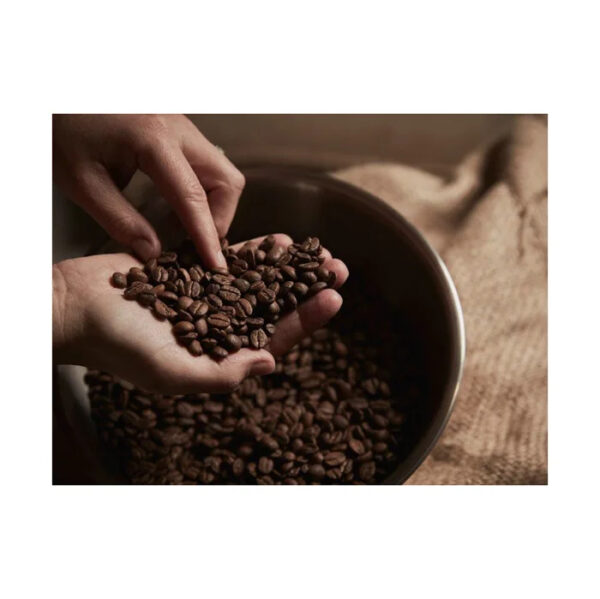 Wholesale High Quality Green Beans Coffee With Best Price For Import Good Quality Raw Coffee Beans - Image 3