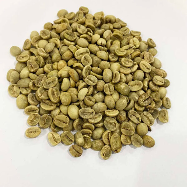 Espresso Coffee Vietnamese High Quality Robusta Coffee Beans For Sale Ground Coffee Brands - Image 5