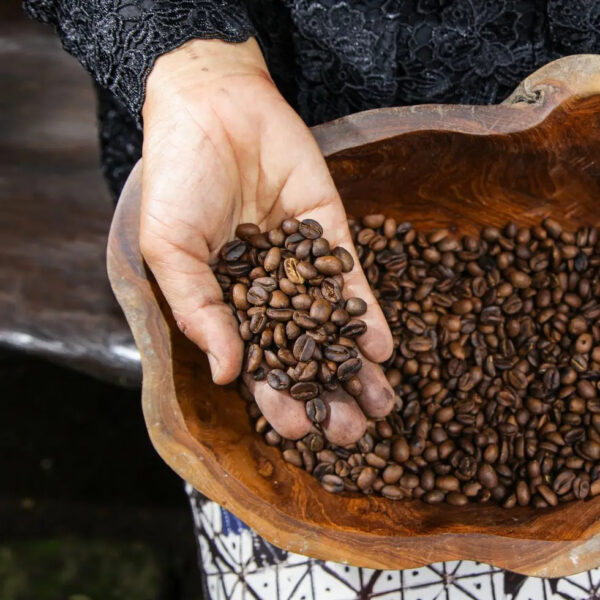 Natural Robusta Coffee Wholesale Factory Supplier Green Coffee Bean Premium Quality Buy Bulk Robusta Coffee Sale. - Image 6