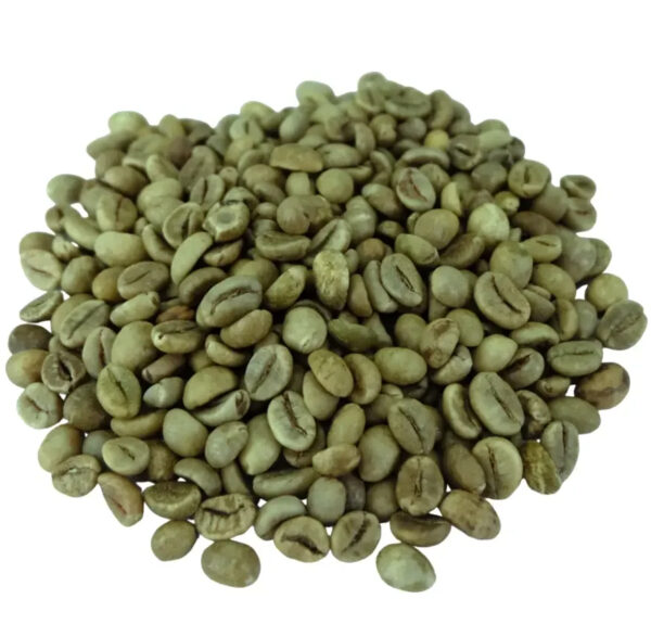 Robusta & Arabica Coffee beans High quality 100% for sale - Image 6