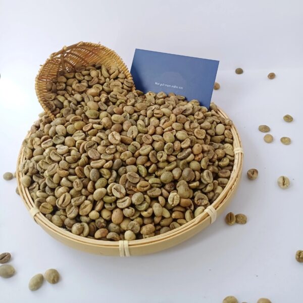 High-Quality Green Coffee Beans Robusta and Arabica Beans Screen 13-18 Available at Competitive Prices for Wholesale Sales - Image 4