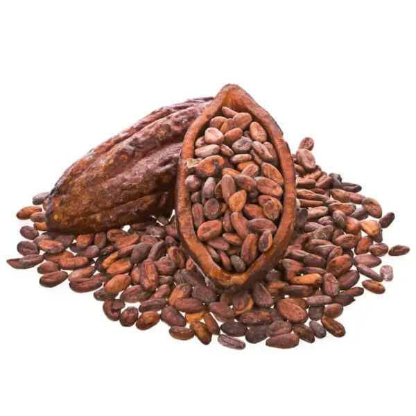 High quality Natural Green Coffee beans for sale Wholesales Roasted Arabica Coffee beans Buy Roasted Coffee beans at cheap price - Image 6