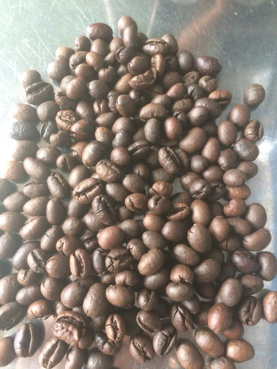 Best Price Robusta Coffee Bean Organic Fresh Raw Roasted High quality Arabica Traditional Coffee - Image 5
