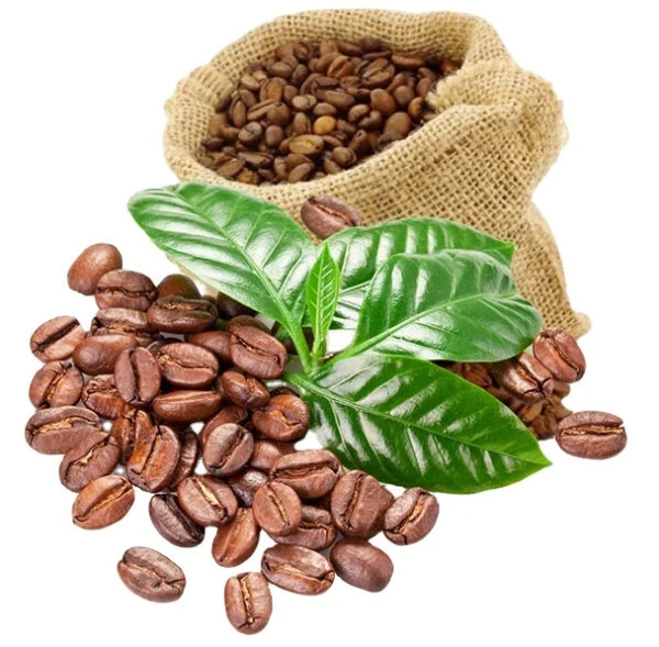 Best Price Robusta Coffee Green Beans Vietnam Coffee Full washed SCR18 Grade 1 - Image 6