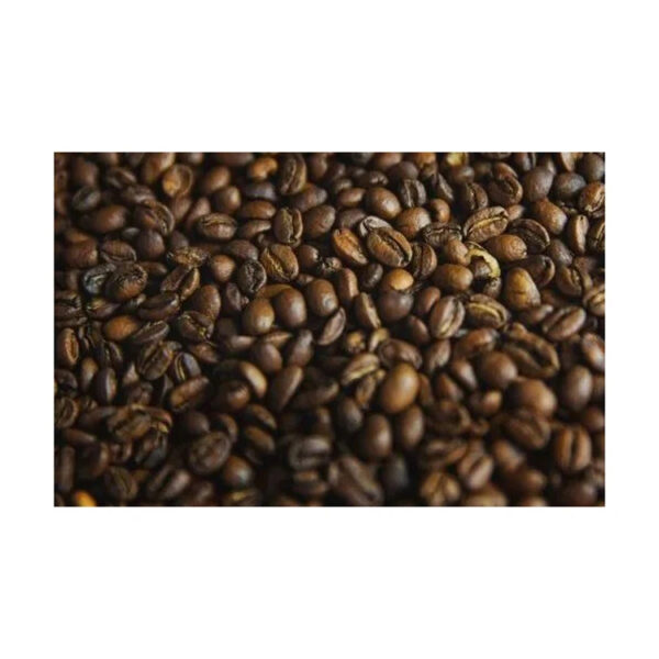 Arabic Green Coffee Beans Top Quality Arabic Coffee good price - Image 6