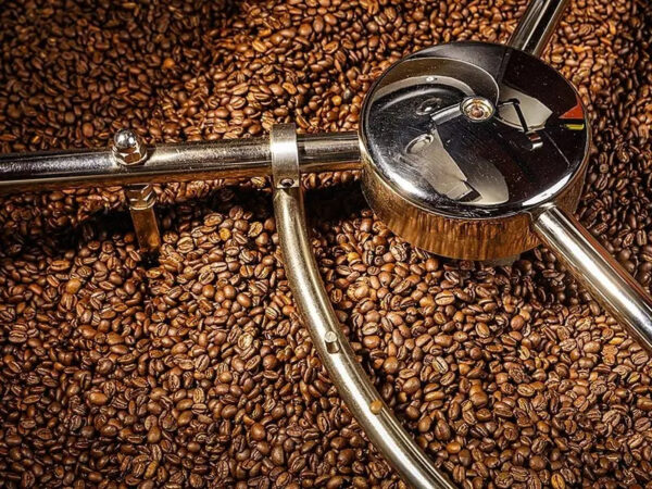 Wholesale Robusta Coffee Bean Buy Cheap Robusta Coffee Bulk Roasted Coffee Beans For Sale - Image 6