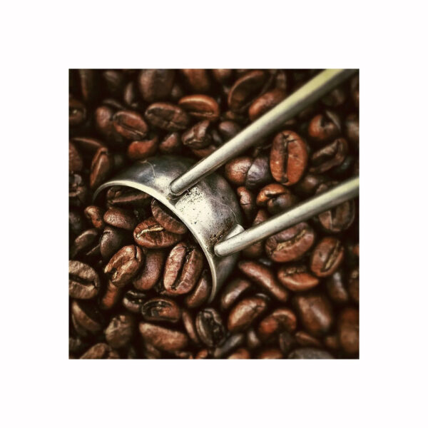 Good price Roasted coffee beans 100% Pure Robusta 0.25kg Medium Roasted Chocolate Accept OEM FRESH COFFEE - Image 6