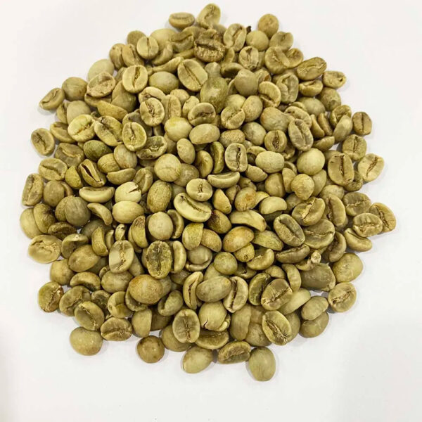 Espresso Coffee Vietnamese High Quality Robusta Coffee Beans For Sale Ground Coffee Brands - Image 6