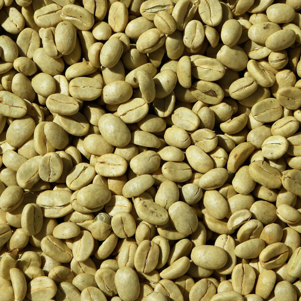 Quality Arabica Beans Coffee and Robusta Coffee Beans for sale