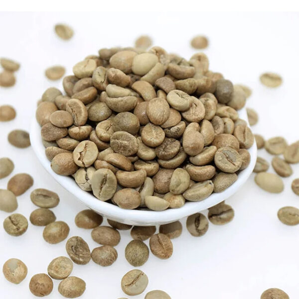 Viet Nam Green Robusta Coffee Bean Wet Polished S18 Grade 1