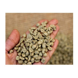Robusta Coffee Robusta Coffee Price Brazil Washed Process Quality Robusta Green Coffee Beans Raw Beans Wholesale