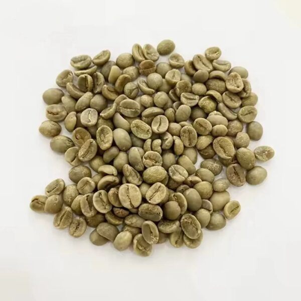 Coffee products green coffee beans robusta common coffe beans robusta green coffee