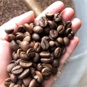 VIETNAM HIGH QUALITY ESPRESSO COFFEE IN BEAN PRIVATE LABEL
