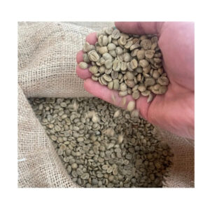 New crop 2024 Vietnam green coffee beans Arabica and Robusta coffee bean