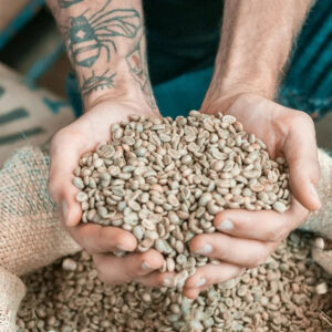 Coffee Bean and Ground Coffee SALE Coffee Bean Traders