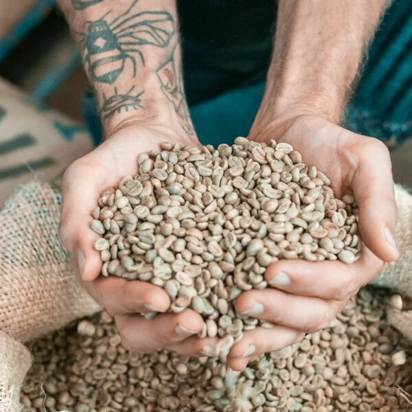 Coffee Bean and Ground Coffee SALE Coffee Bean Traders