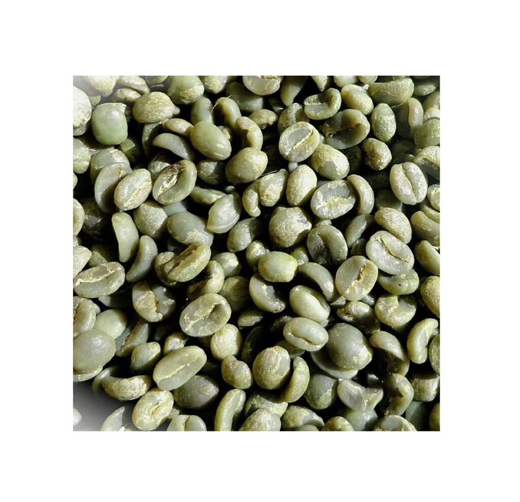 GREEN COFFEE ARABICA BEANS UNROASTED COFFEE BEANS