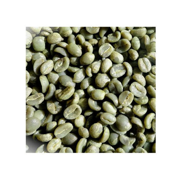 GREEN COFFEE ARABICA BEANS UNROASTED COFFEE BEANS