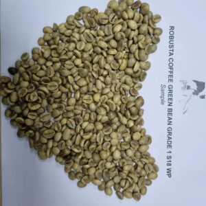 VIETNAM ROBUSTA COFFEE BEANS SIZE 18 WET POLISHED NEW CROP WHOLESALE LOW PRICE TOP DIRECT FARMS FACTORY