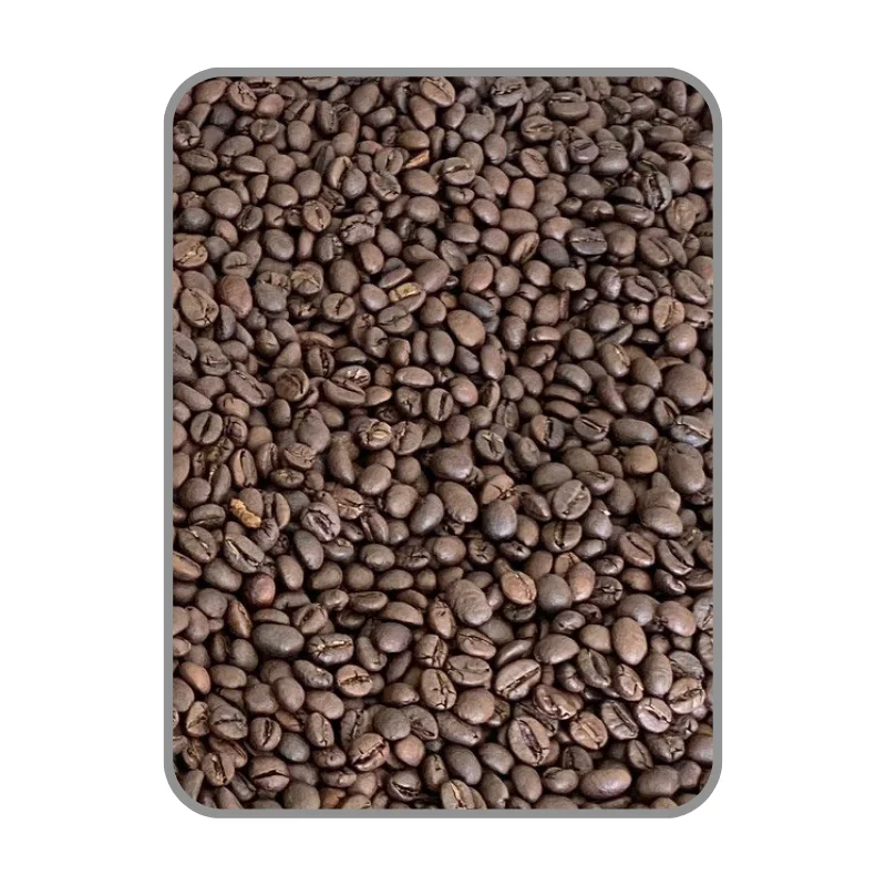 Reasonably Priced Roasted Arabica Coffee Beans Ground Coffee Supplier with OEM Service Vietnam Manufacturer