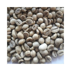 Wholesale Price Robusta Coffee Bean Organic Fresh Raw Roasted High quality Arabica Traditional Coffee