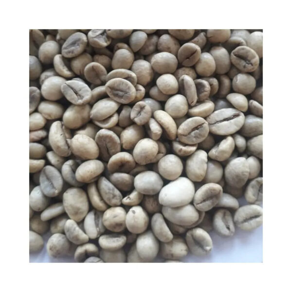 Wholesale Price Robusta Coffee Bean Organic Fresh Raw Roasted High quality Arabica Traditional Coffee